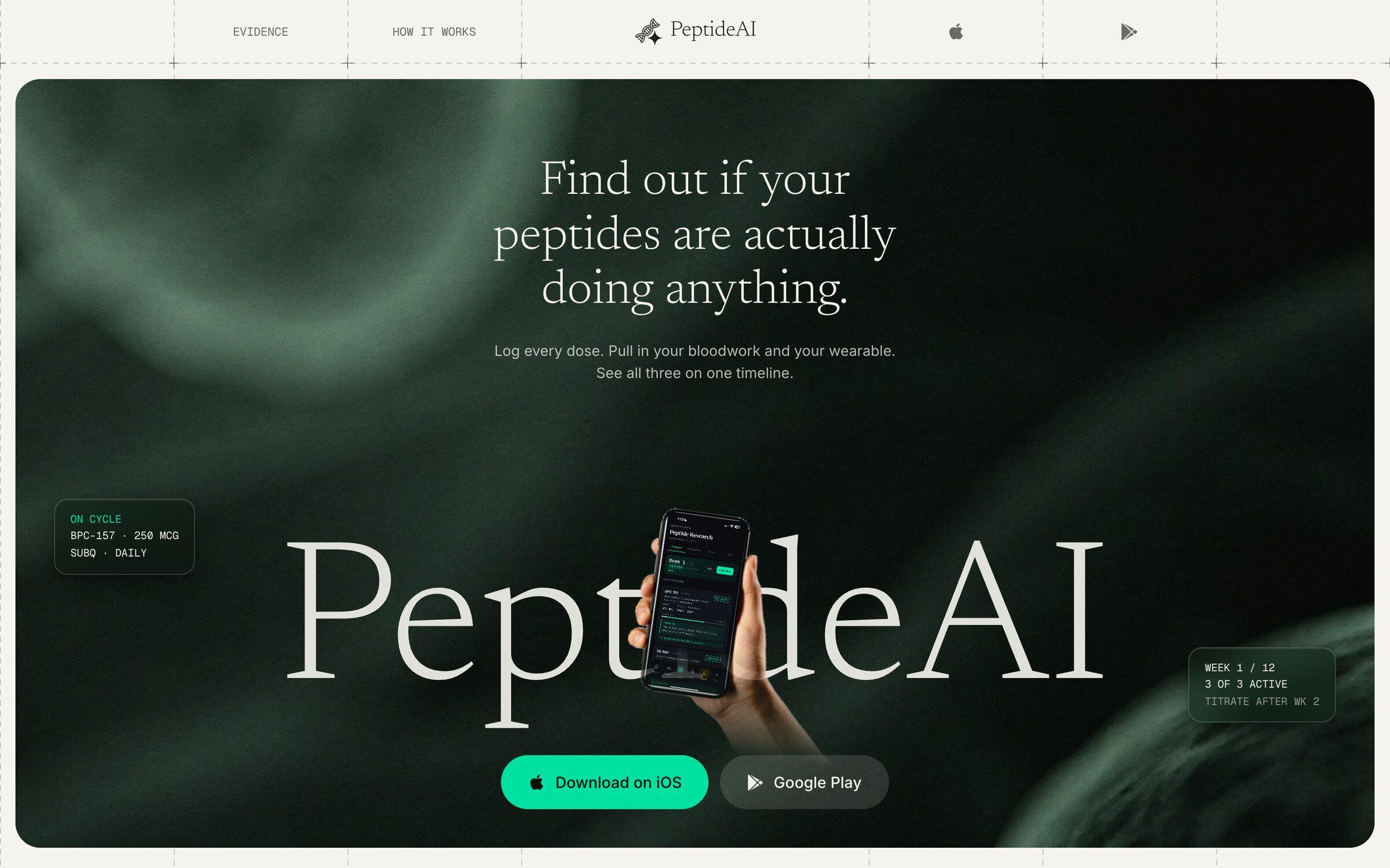 The PeptideAI hero: find out if your peptides are actually doing anything, over PeptideAI in a huge serif with a hand holding the phone through the word